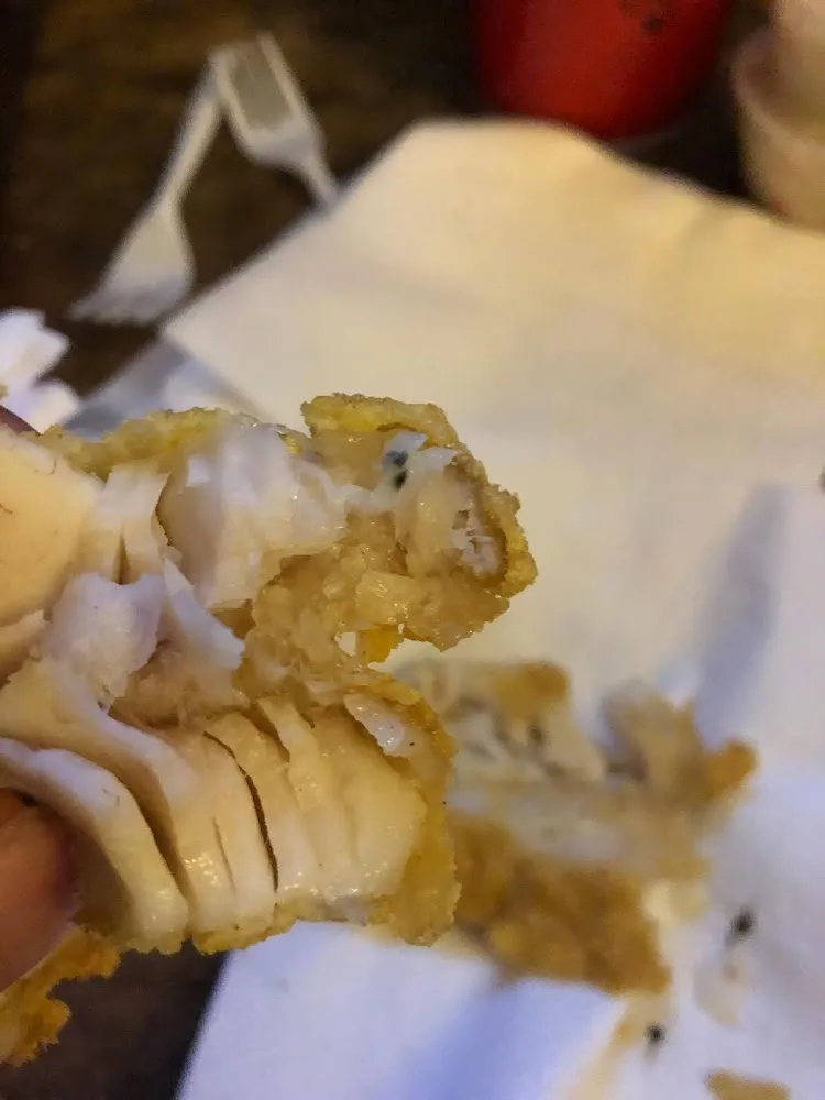 Bug Parasite Inside Fish Meat